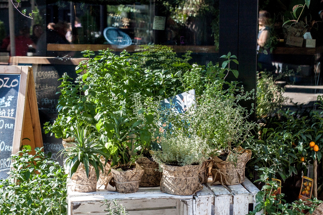 kwiaciarnia-badylarz-off-piotrkowska-lodz